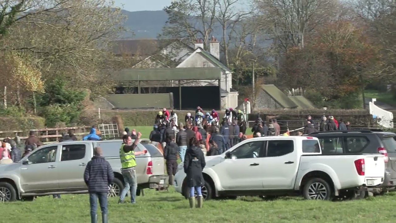 P2P - Damma House - 02 Nov 2025 - R1 Tattersalls Ireland NH November Sale 4yo Maiden