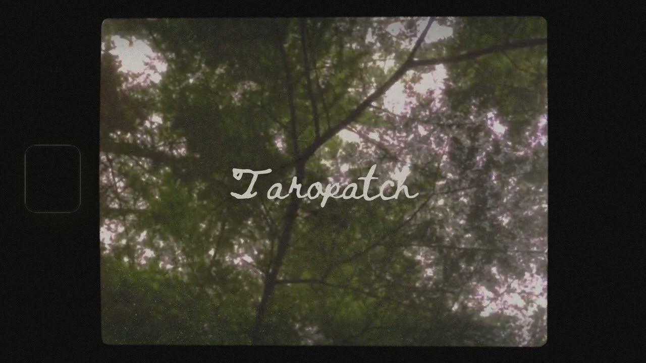 Paul Alan Morris - Taropatch (Official Video)
