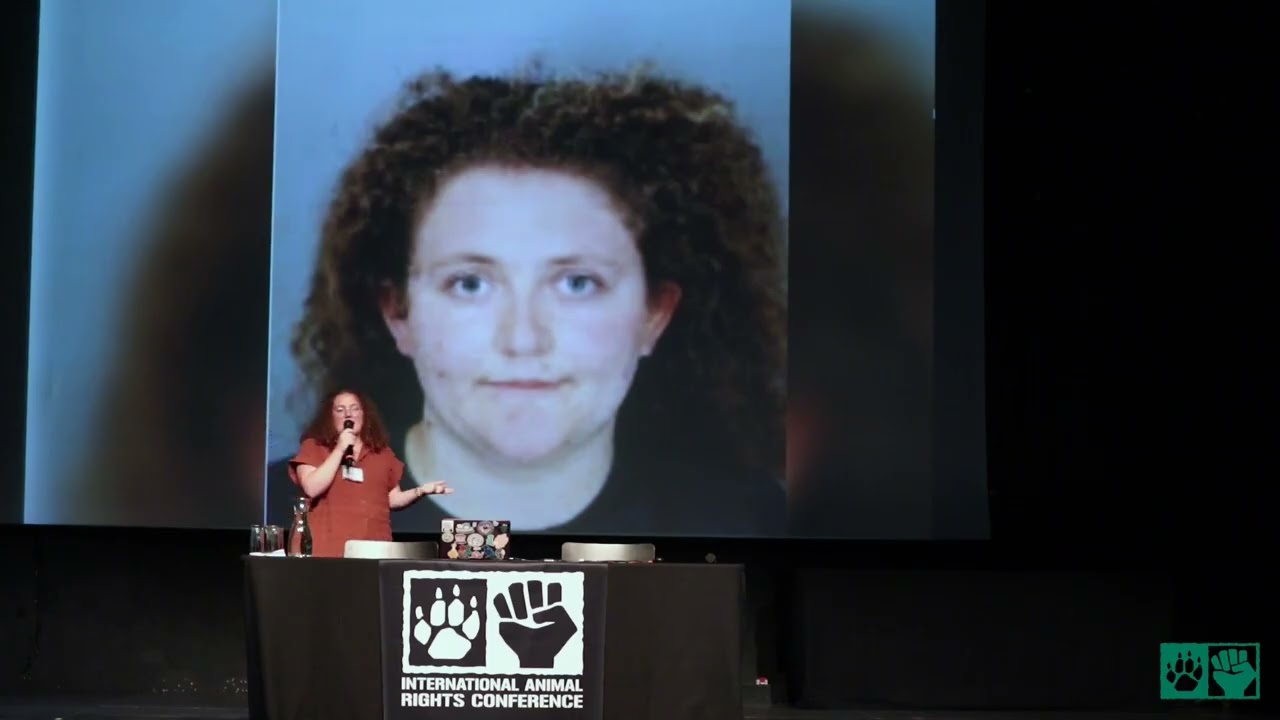 The power of making a scene - Zoe Rosenberg [IARC2023]