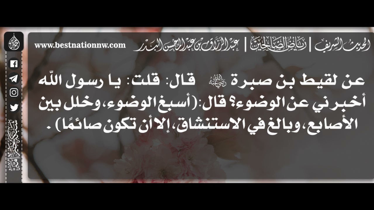 1243 - شرح حديث وبالغ في الاستنشاق إلا أن تكون صائمًا - الشيخ الدكتور عبدالرزاق البدر