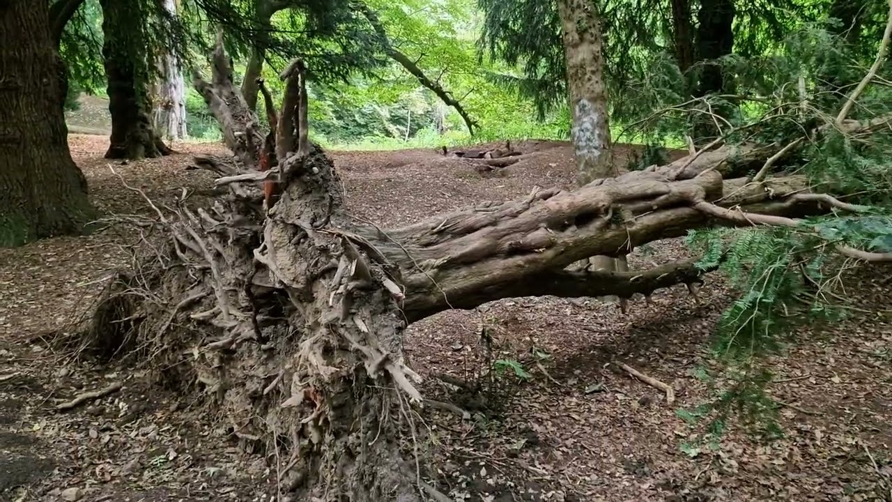 Haunted Malvern Hall : The demolished  Ice House