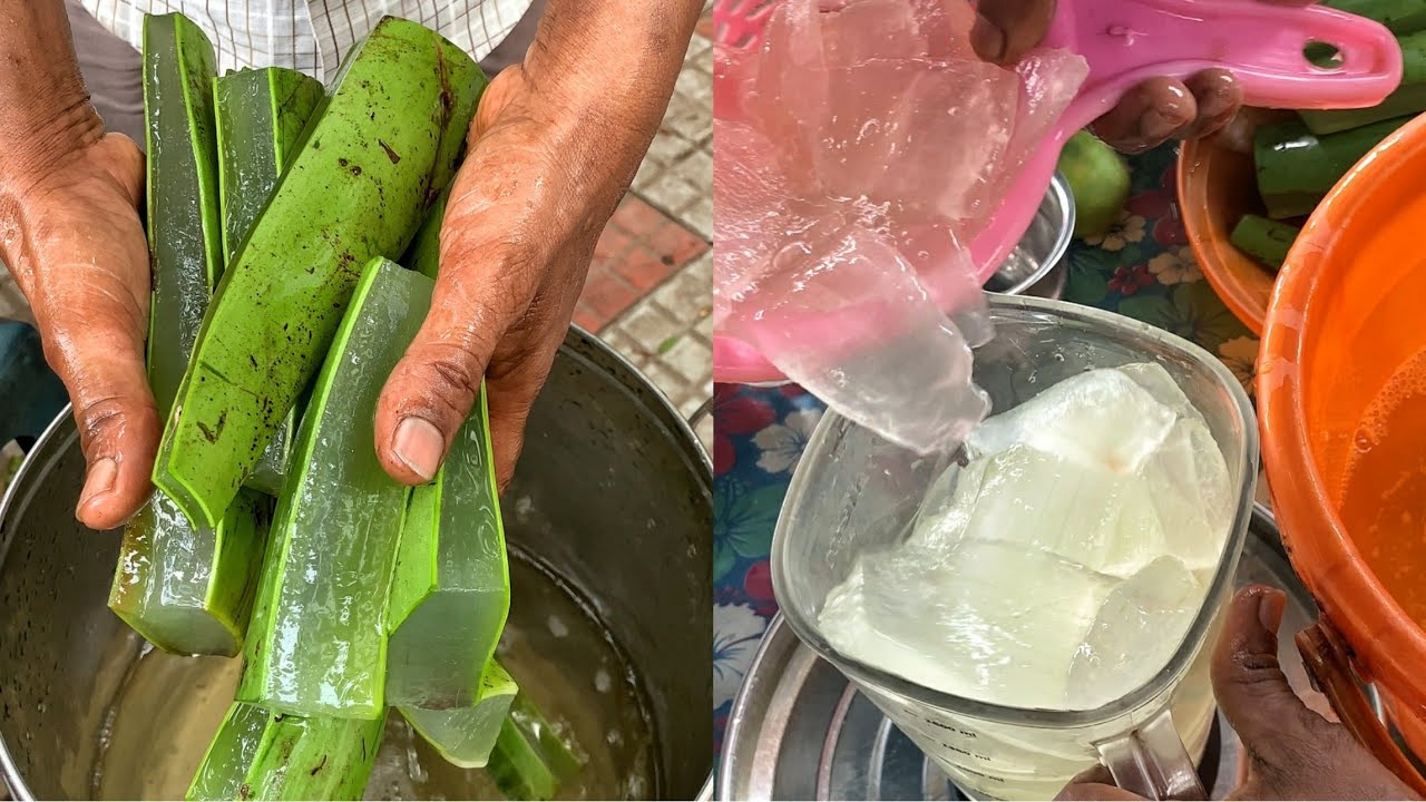 Unique Aloe Vera Drink of Chennai😱😱 ऐसा shake कभी नहीं देखा होगा😳😳 | #ChennaiFood #StreetFood