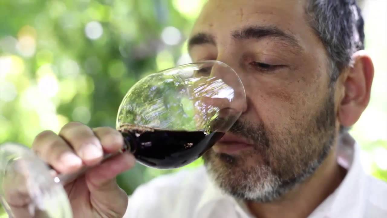 Descalzos Viejos: Grandes vinos en el corazón de Ronda