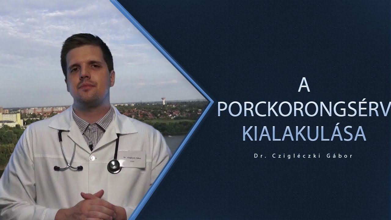 A porckorongsérv kialakulása