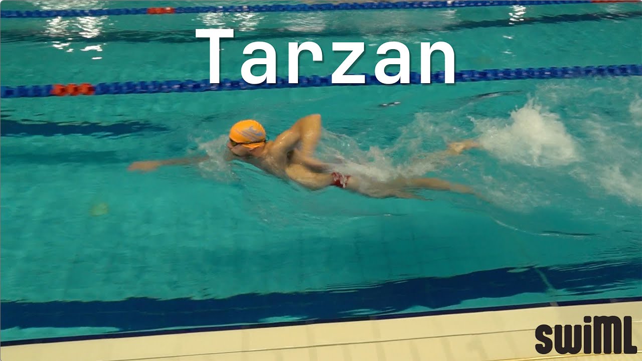 swiML Stroke Guide: Tarzan