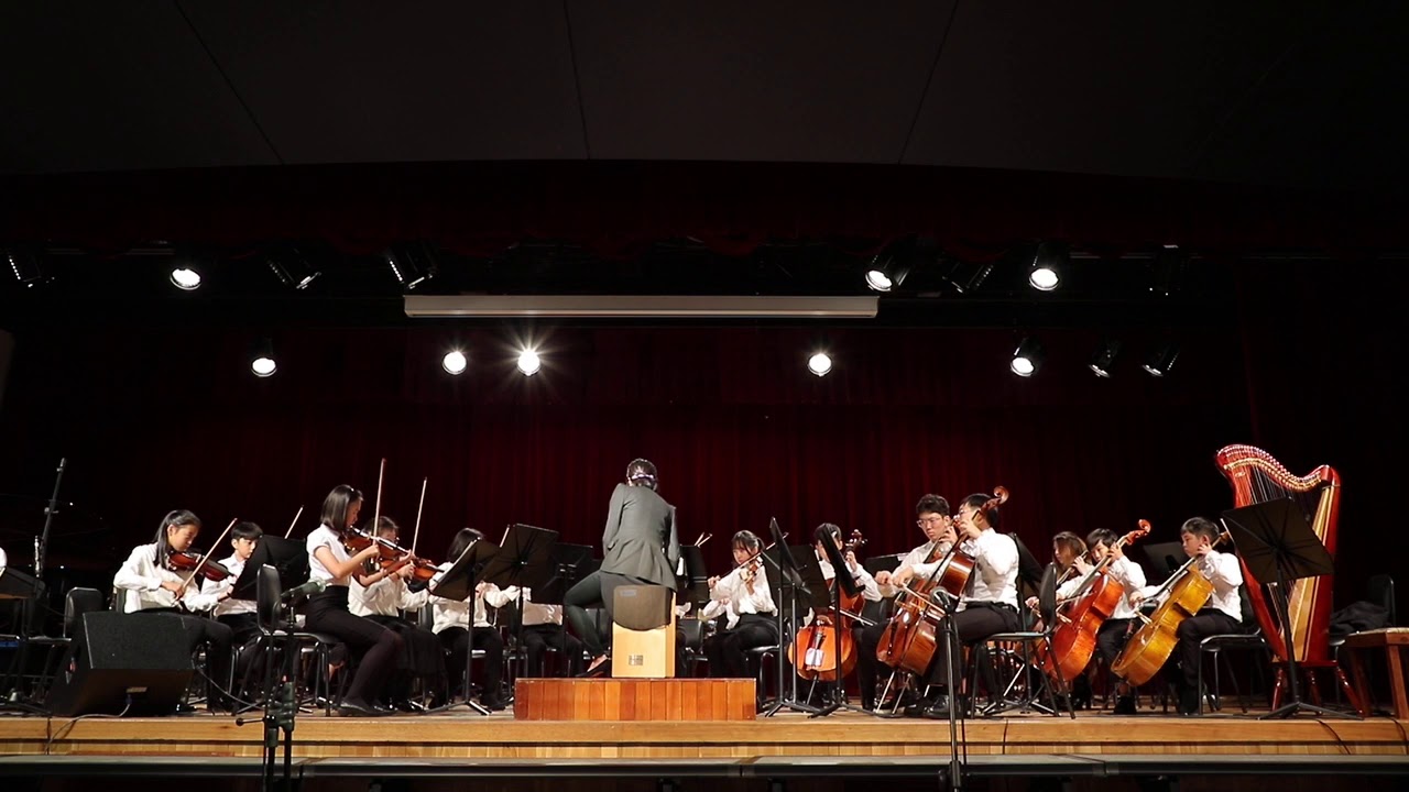 MS Strings Ensemble 2: Believer - Neil Diamond arr.John Wasson.