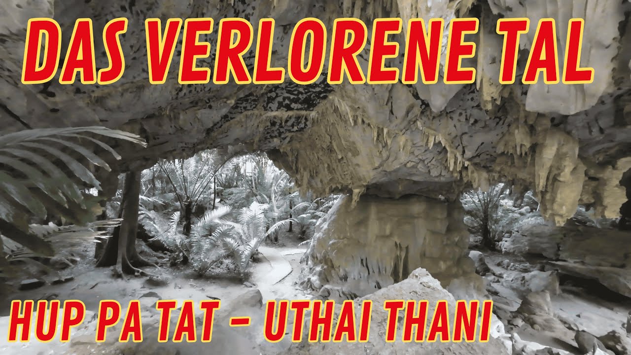 Exotische PFLANZEN - HÖHLEN und GROTTEN - GIFTIGE TIERE  😱 HU PA TAT - UTHAI THANI - หุบป่าตาด Teil3