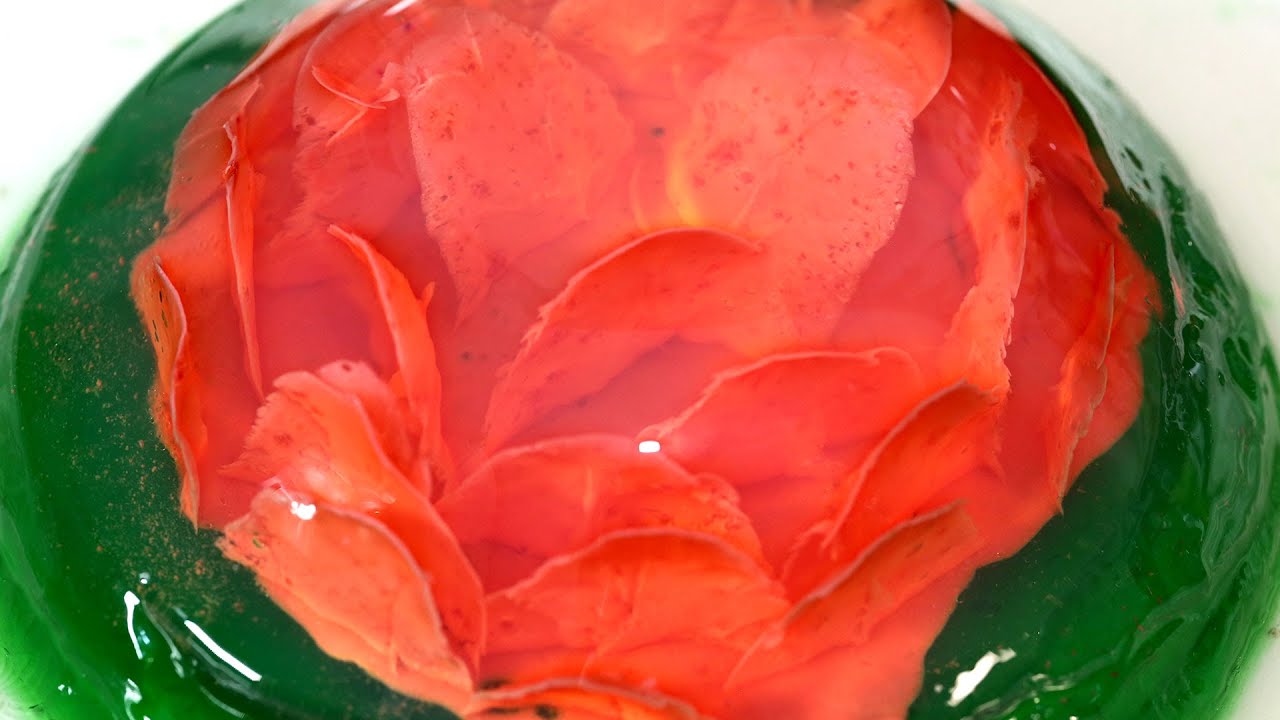 Como fazer uma flor de gelatina (receita)