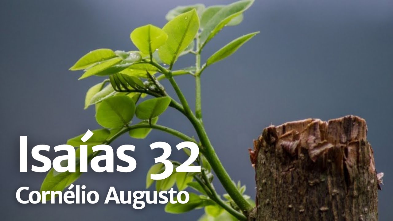 Bíblia Falada | Isaías 32