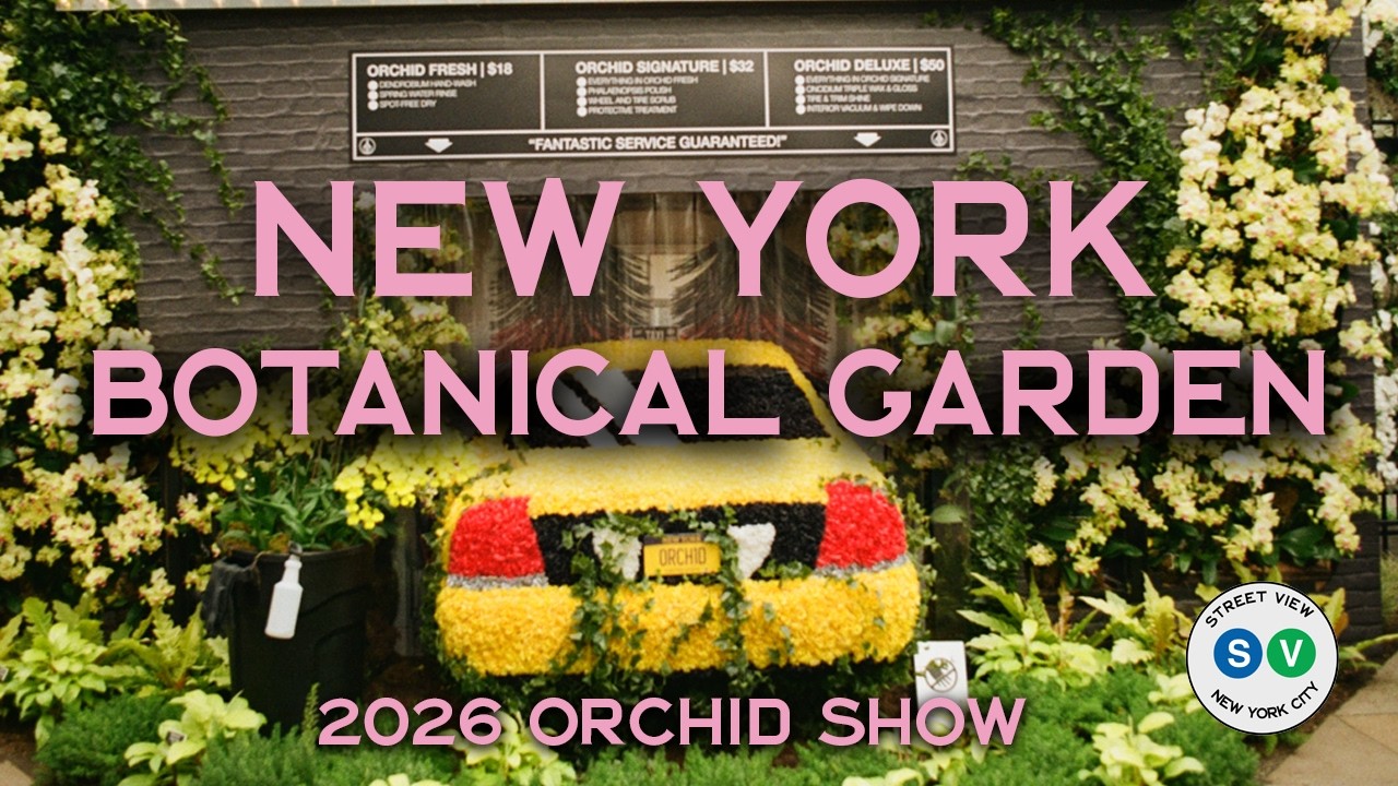 New York Botanical Garden Orchid Show 2026 | The Bronx | 4K HD