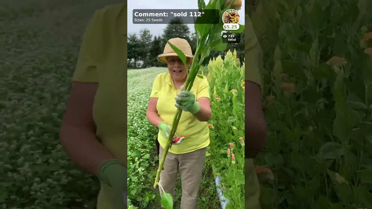 Live from the garden!!! Woohoo!! The Live Gardening Show happens inside my phone APP