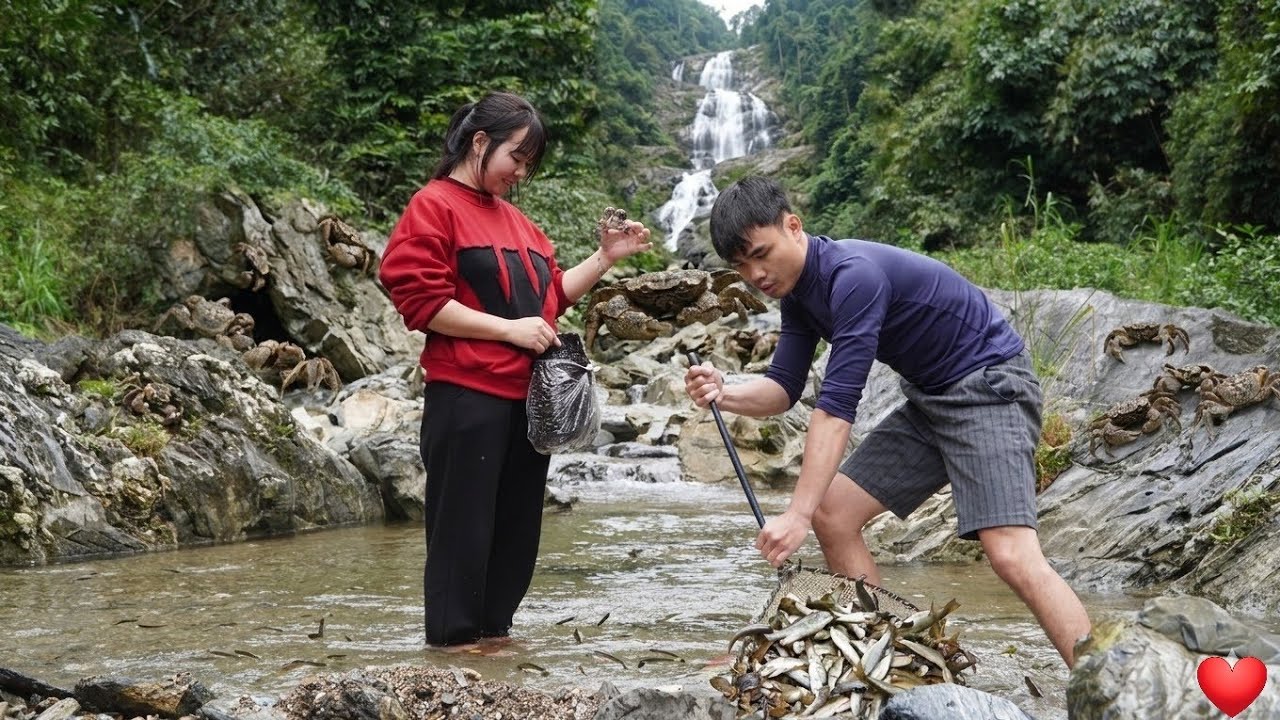 Blocking the stream to catch fish - Gathering abundant love | Ly Tieu Nuong TV