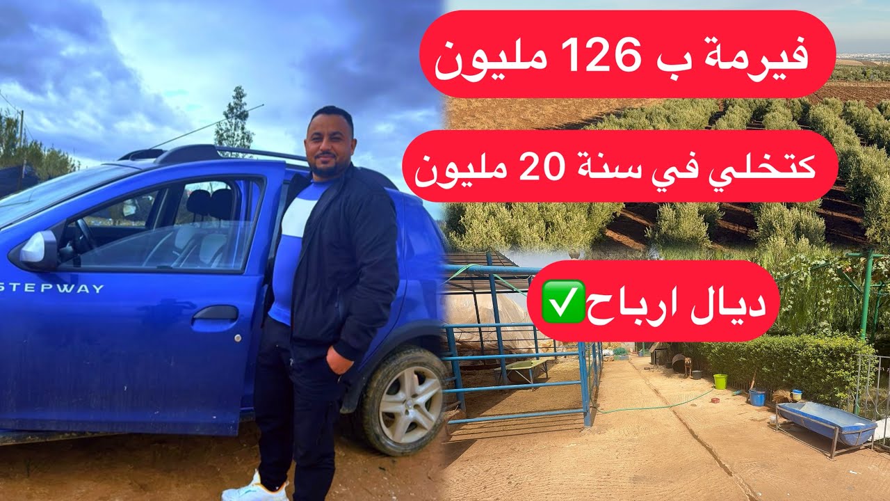 فيرمة بلڤيلاة والكوارة وأشجار زيتون لي كتخلي في سنة 20 مليون ديال أرباح ✅ تباع بلمعدات الفلاحية 