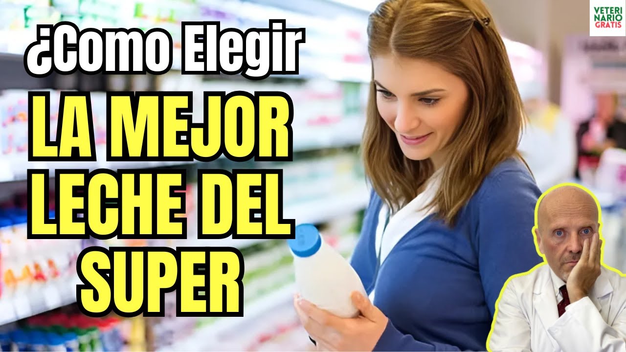¿COMO ELEGIR LA MEJOR LECHE DEL SUPERMERCADO?🥛🧐¿EN QUE FIJARTE?