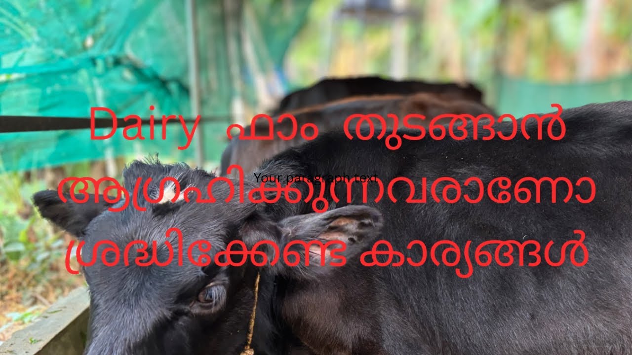 ഫാം ക്ലീനിങ് 