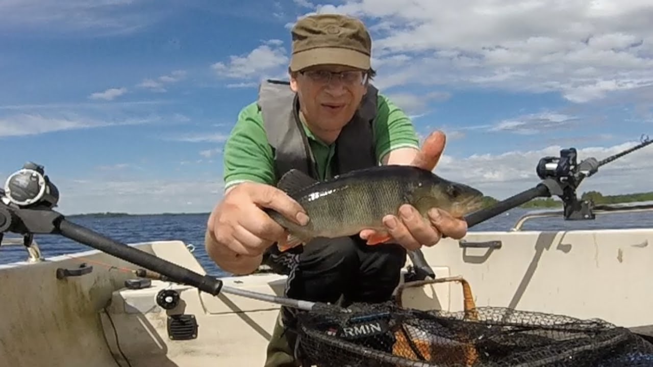 Kalastusta kesällä pilkkien Lestijärvellä 2022 - Summer ice fishing on the lake Lestijärvi