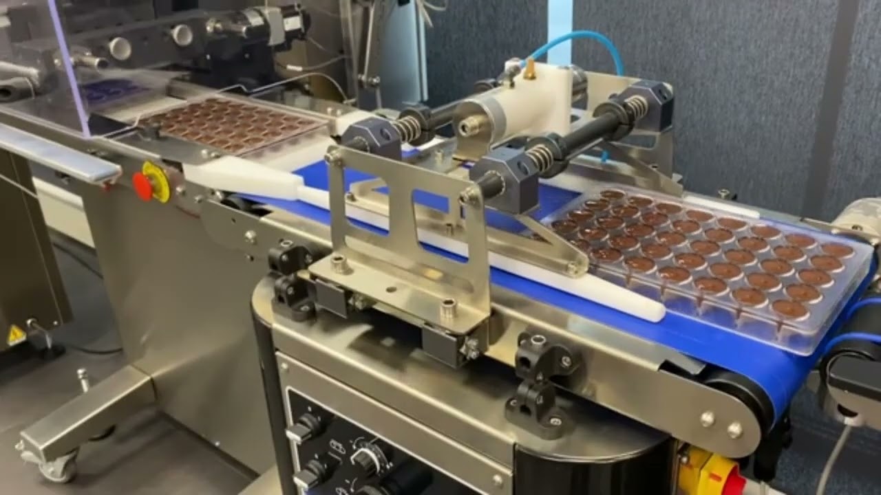 Pomati Automatic Chocolate line with one shot depositor, vertical cooling tunnel & vibrating table