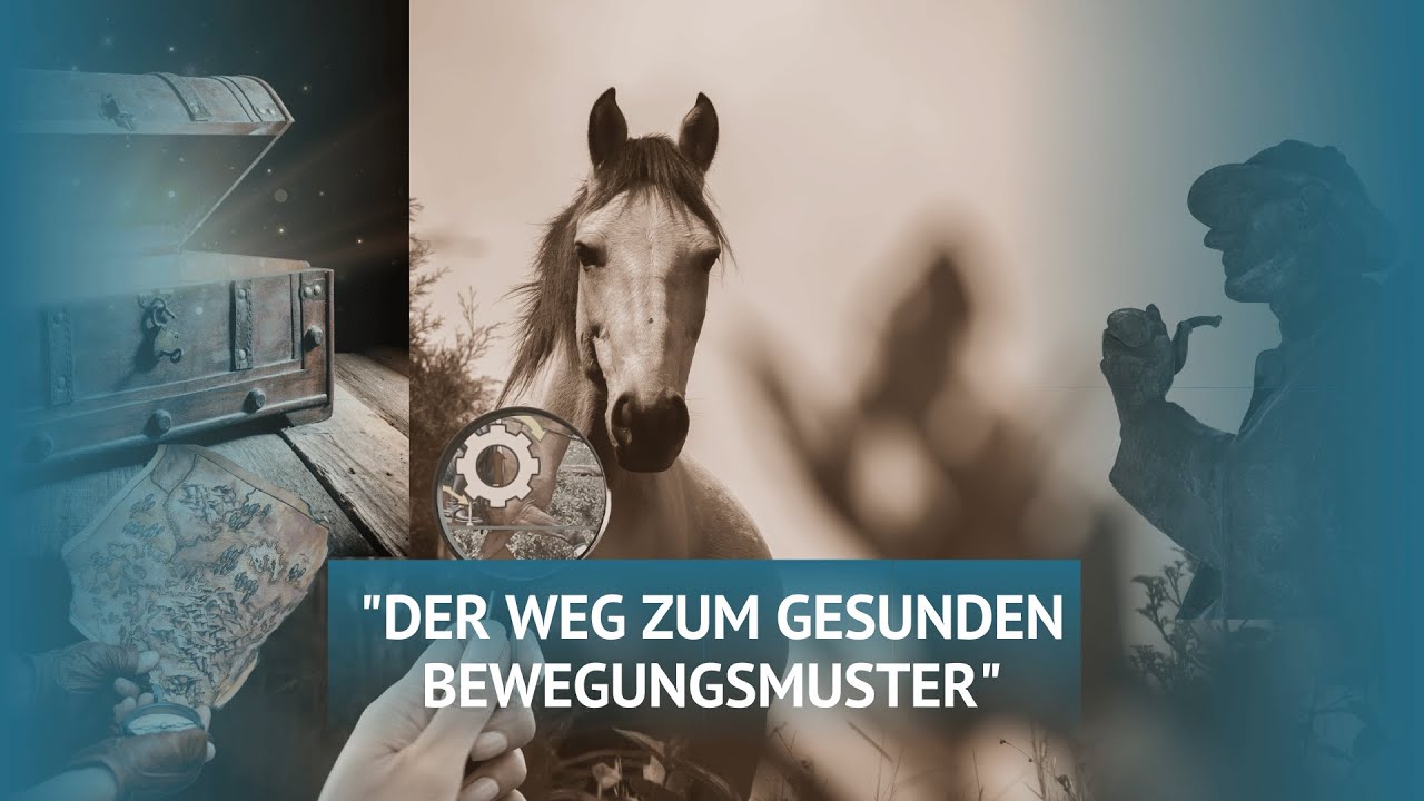Der Weg zum gesunden Bewegungsmuster des Pferdes - Pferde gesund reiten