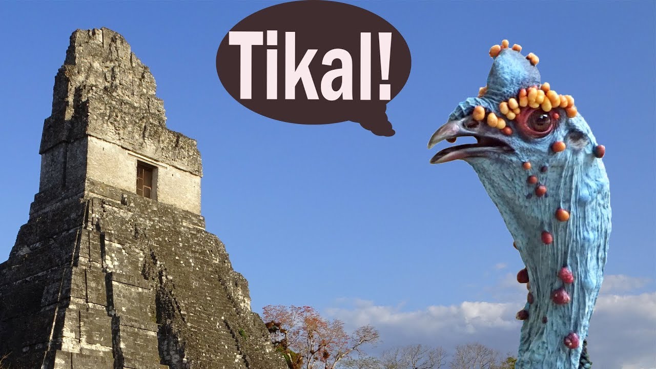Tikal 1 - Birding with Mariela