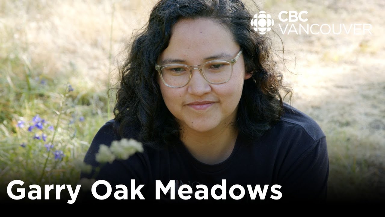 Indigenous land stewardship is key to the survival of this rare ecosystem | Creator Network