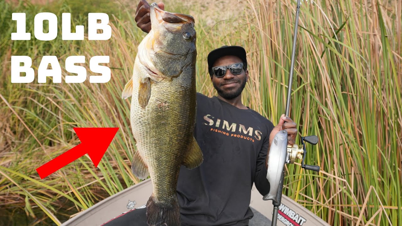 How To Catch Giant Bass With Big Swimbaits In The Winter!
