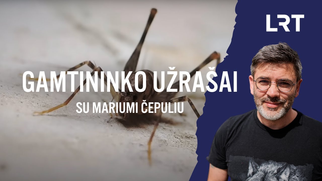 Gamtininko užrašai. Butus ir rūsius išrausęs Čepulis: namuose gyvena gyviai, apie kuriuos nežinote