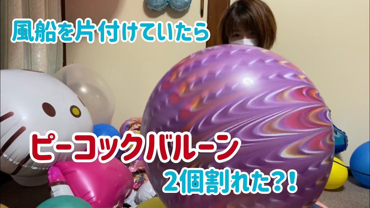【お片づけ】風船を片付けていたらピーコックバルーンが・・・