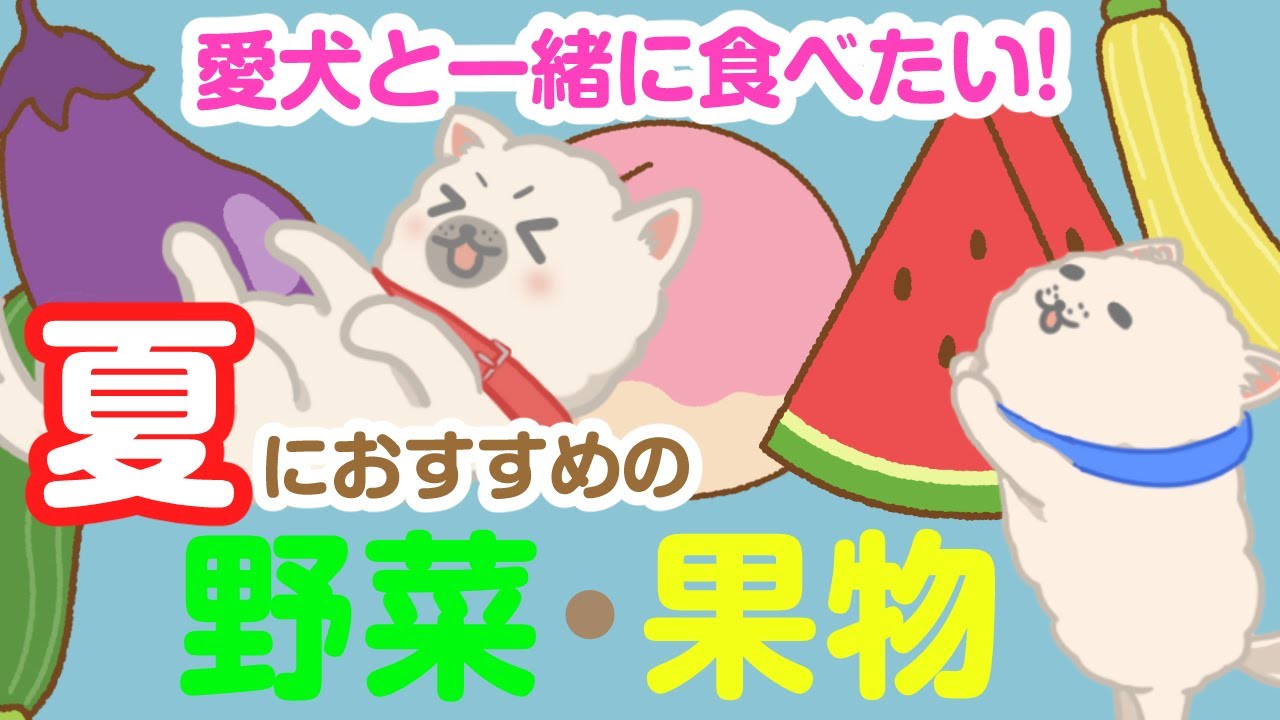 水分補給・夏バテに！愛犬と食べたい夏の野菜・果物10選
