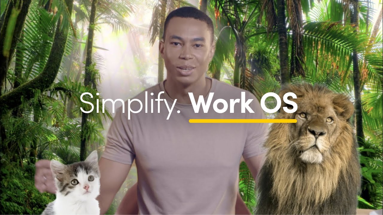 What is a Work OS? A platform to work better