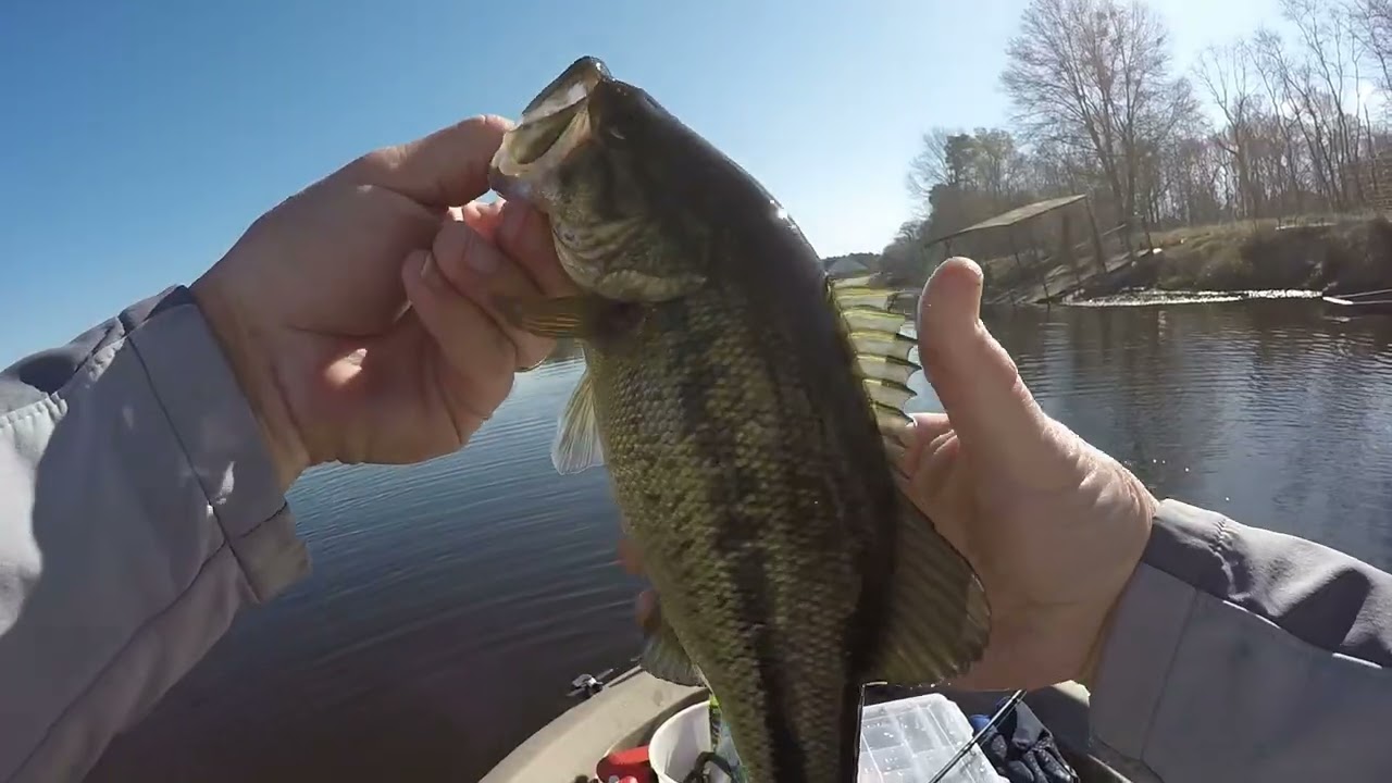 I finally found where they were, so after this video, stay tuned for more tomorrow!!