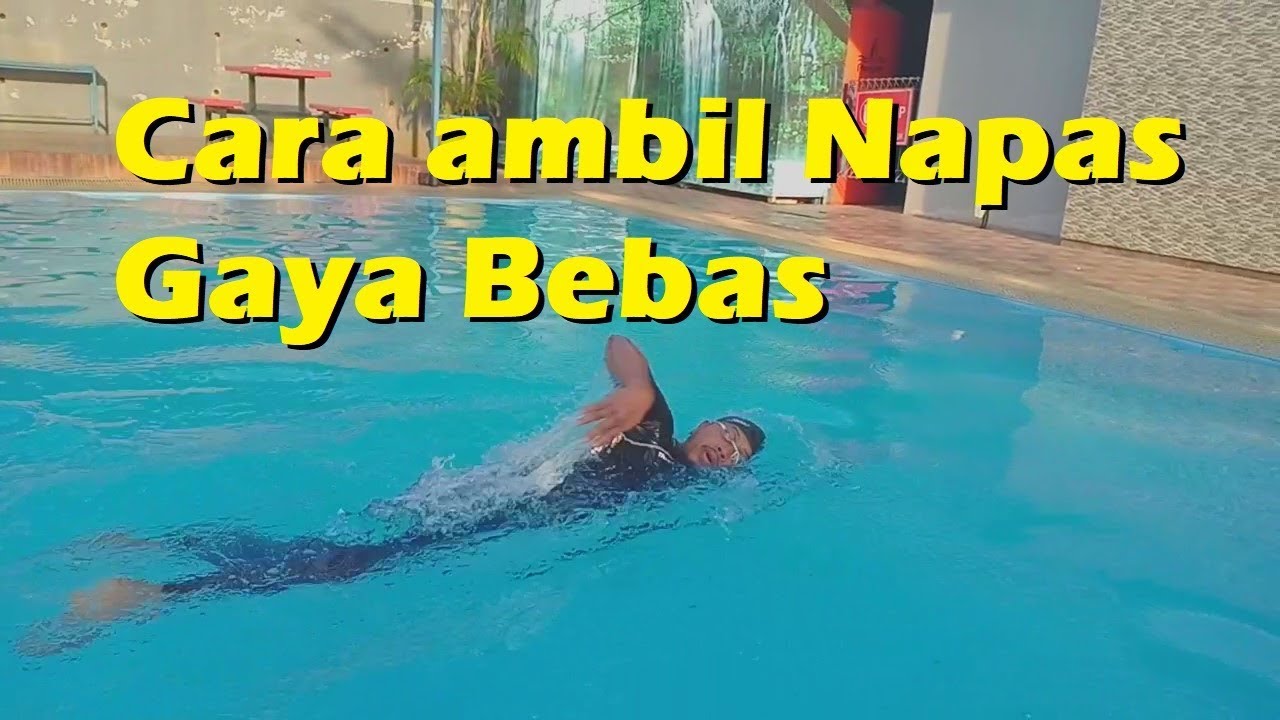 Cara Ambil Napas dalam Gaya Bebas