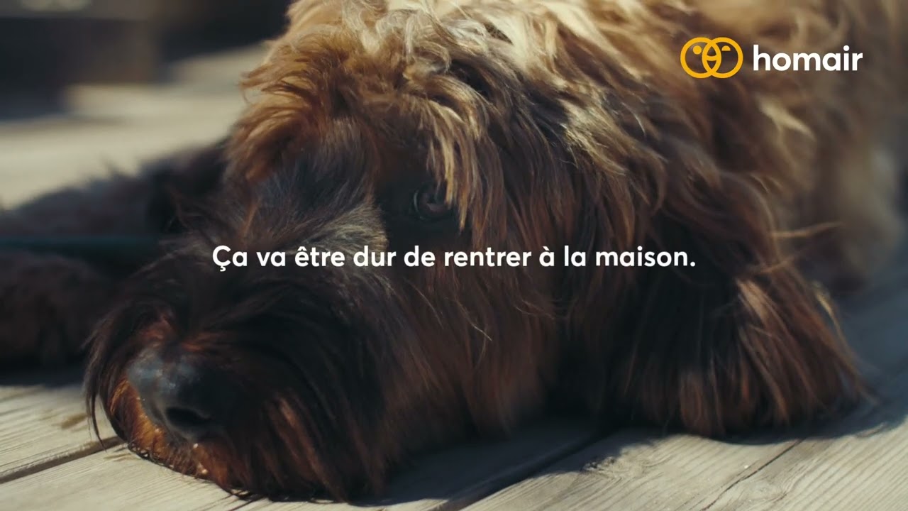 Homair Vacances : Pub TV 2026 - Le Chien