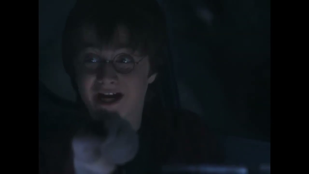The Chamber of Secrets - Whomping Willow