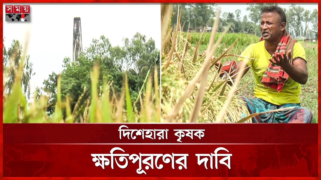 ইটভাটার বিষাক্ত ধোয়ায় বিরূপ প্রভাব জমির ফসলে | Brick Kiln | Brick Field | Cropland | Sirajganj