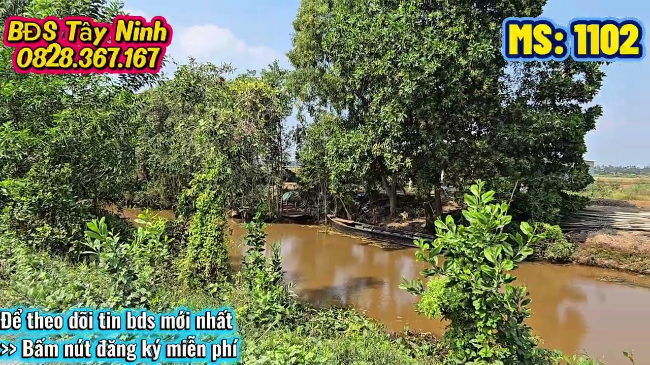 Nhà vườn Tây Ninh | Đất vườn giá rẻ | Bất Động Sản Tây Ninh