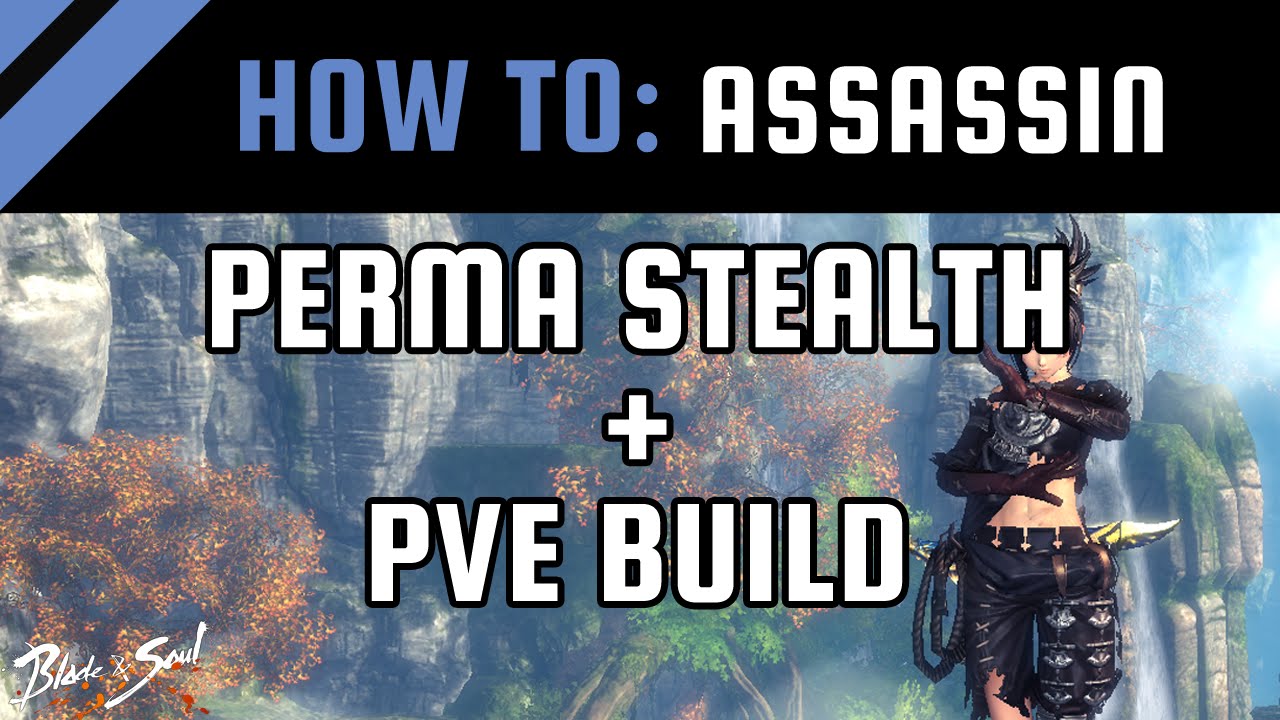 How To: Perma Stealth + PvE Build | Assassin [Blade and Soul Guide / Tips]