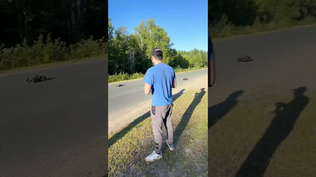 Race 2wd slash 3300kv spectrum VS 2wd rustler 5700kv castle creation #rc #traxxasslash #rccar