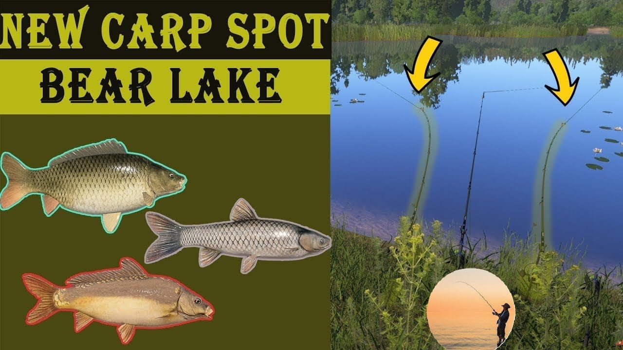 Russian fishing 4 - New Spot Bear Lake / Record fish