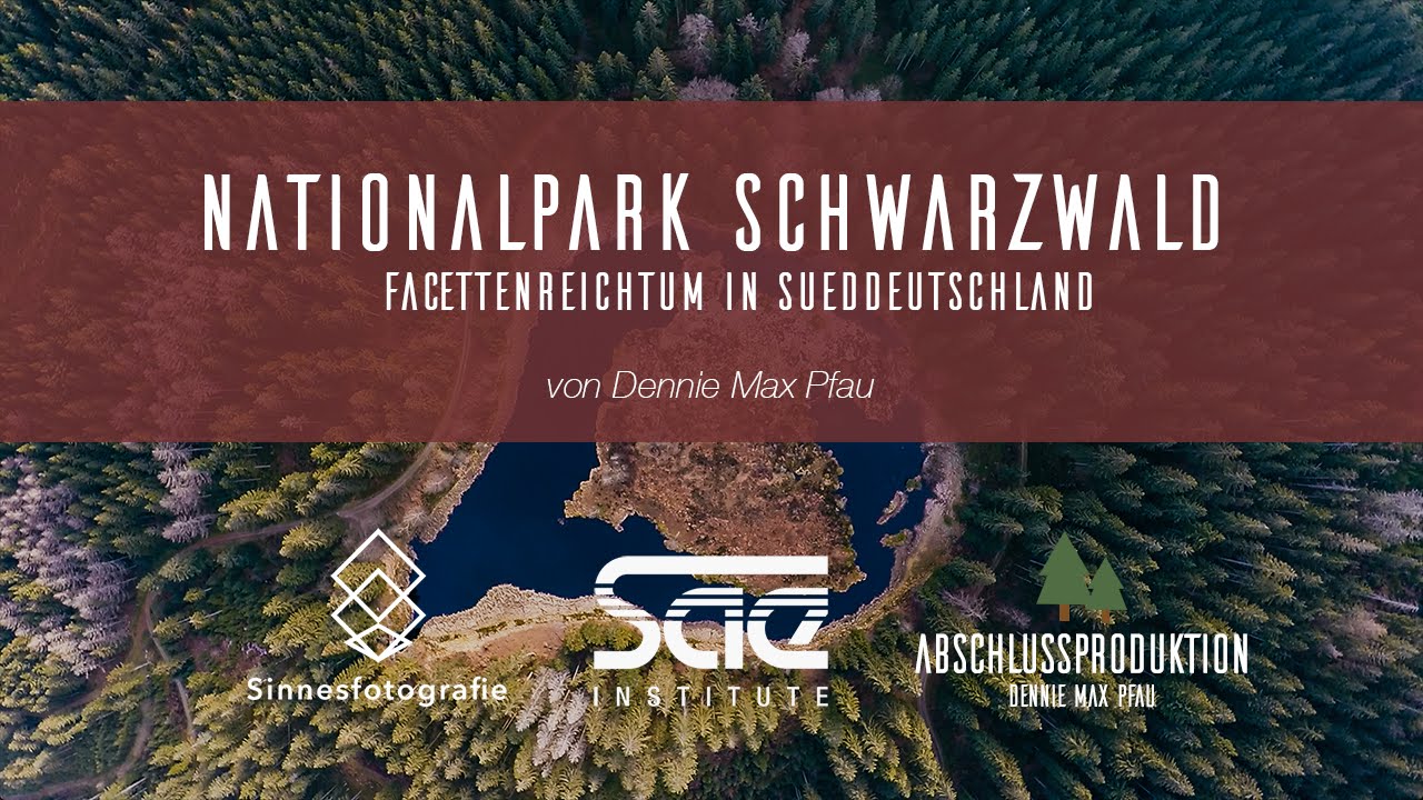 Nationalpark Schwarzwald - Facettenreichtum in Süddeutschland