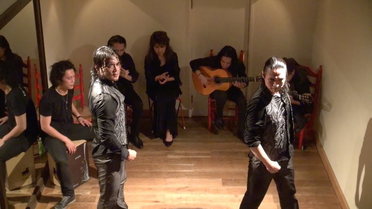 ALMA FLAMENCA - 