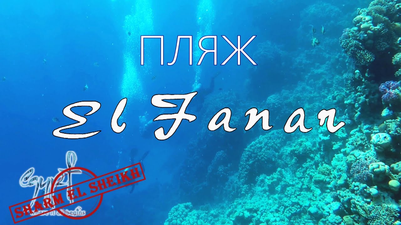 ПЛЯЖ 