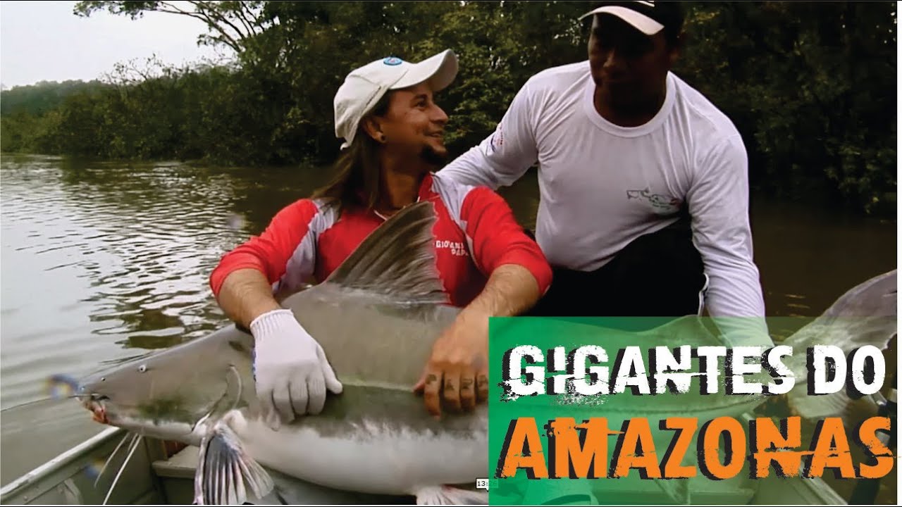 Pescaria no amazonas - Pirararas e Piraíba