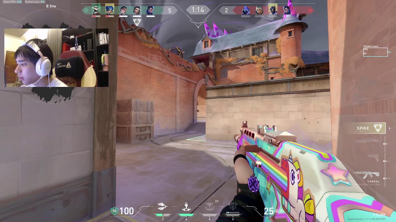 twitch+youtube
