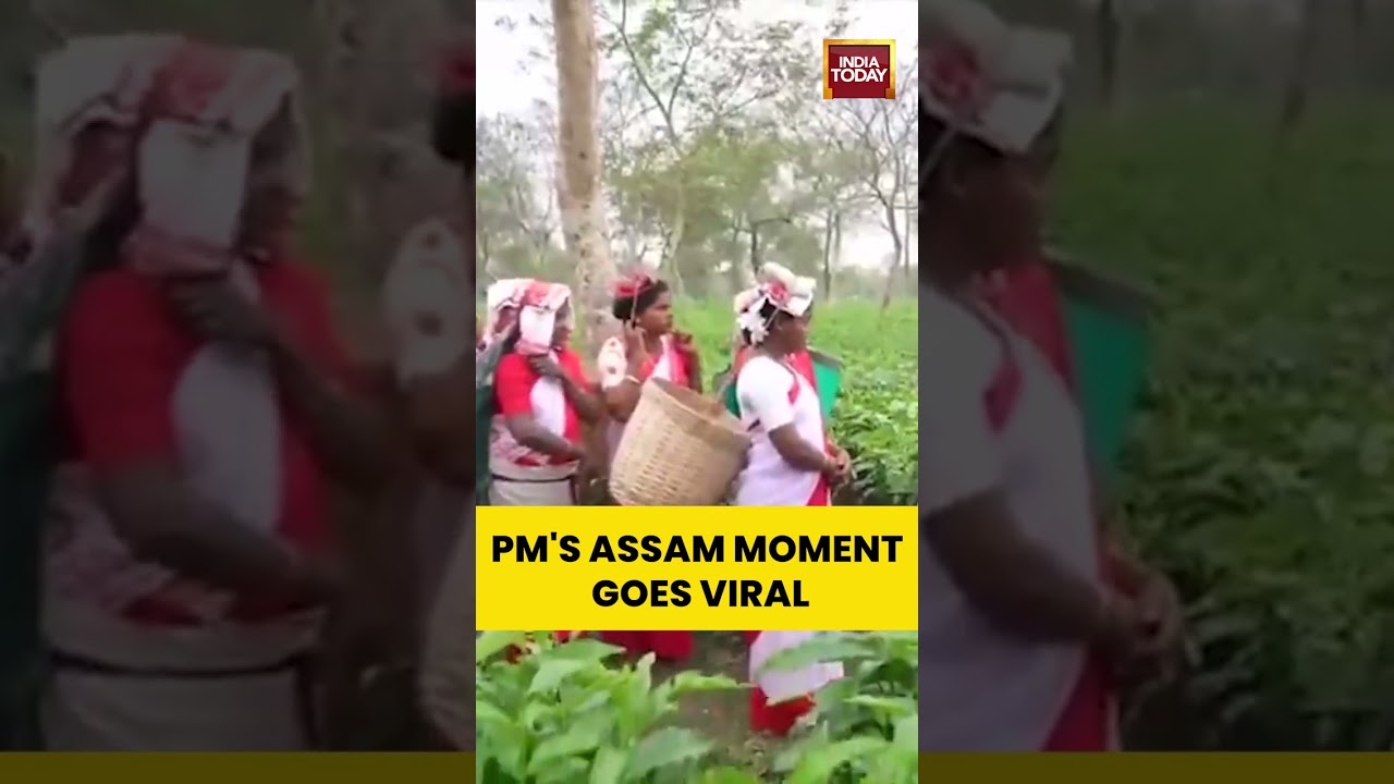 PM Modi in Assam: Visits Tea Garden, Meets Women Workers