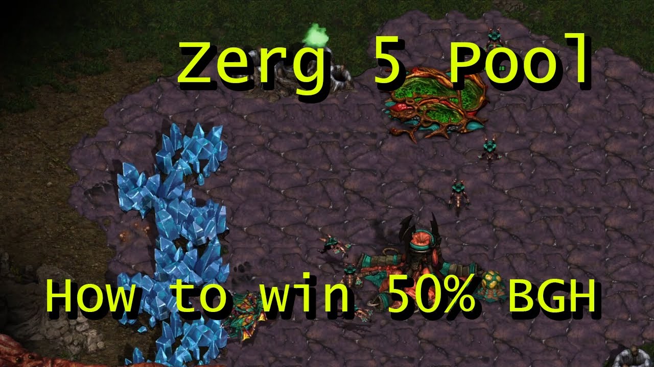 Starcraft Brood War Beginner Builds - Zerg 5 Pool - How to win 50% of Your Games Without Even Trying