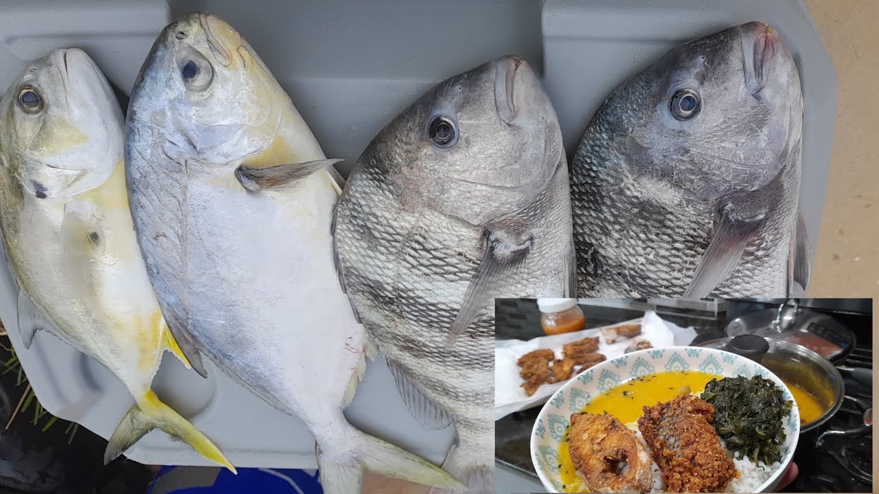 Matanzas Inlet, St. Augustine Fishing. CATCH CLEAN COOK.  SHEEPSHEAD,  POMPANO & JACK CREVALLE