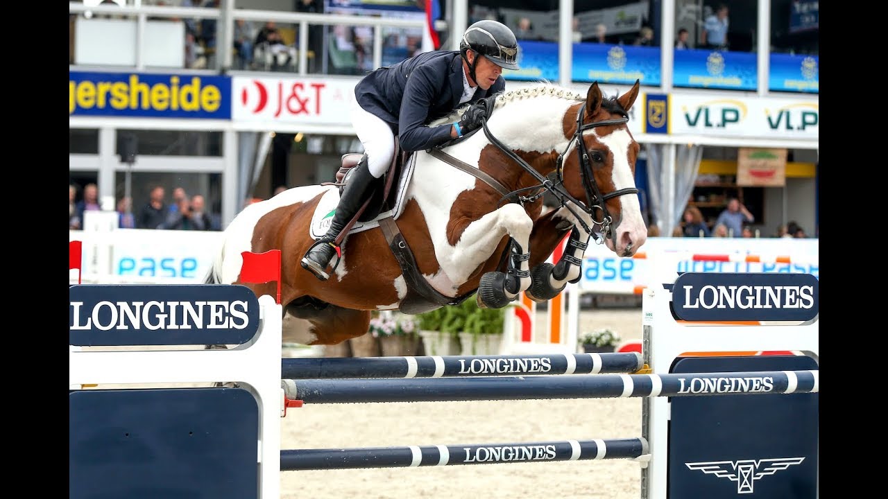 Ulyss Morinda Selle Français Stallion, born in 2008