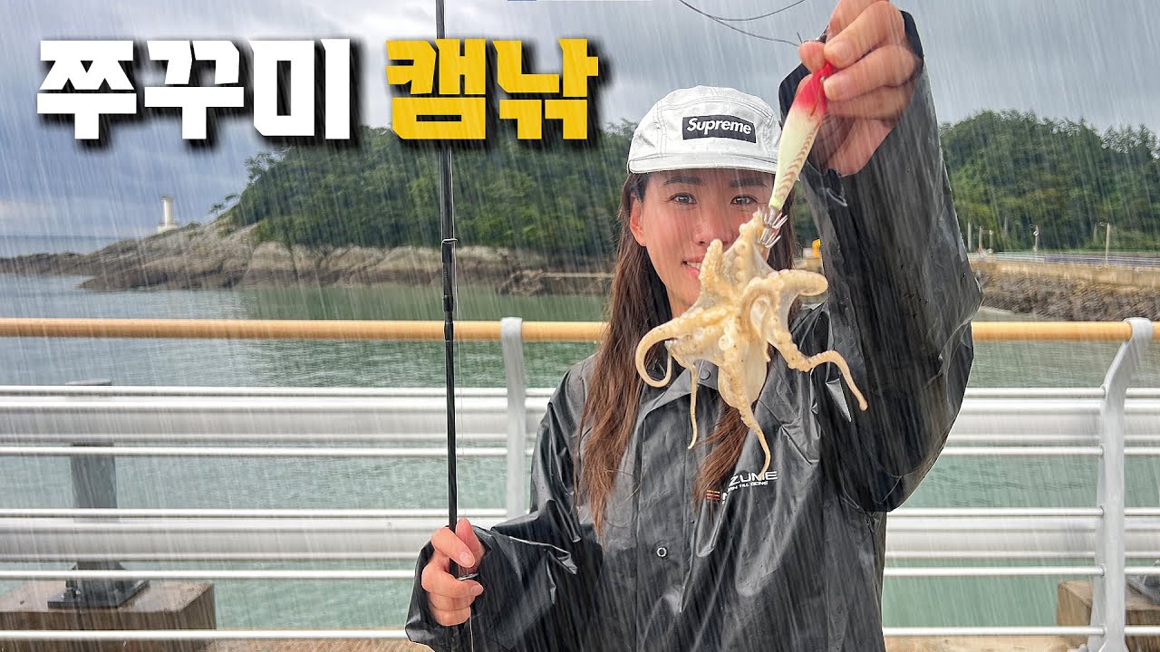 발 밑에 쭈꾸미가 득실득실한 방파제, 캠핑 고수와 함께 한 우중 캠낚 / 쭈꾸미 오마카세 / 부안 위도 섬
