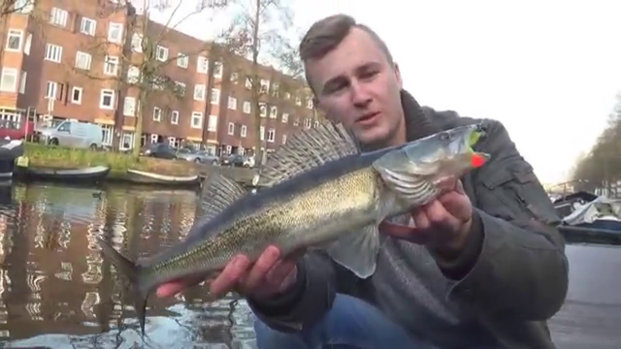 Streetfishing in Amsterdam - Raubfischangeln auf Zander und Barsch - Teil 1 #11