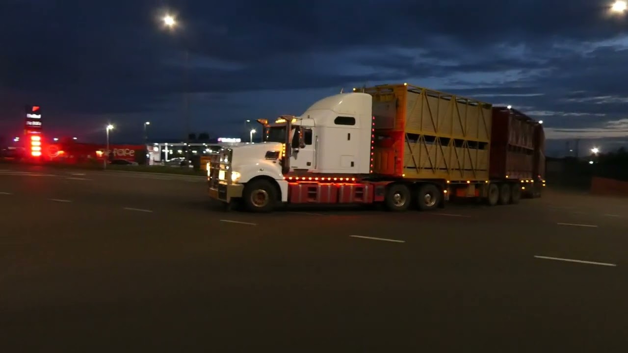roadtrains at roma 2024 no8